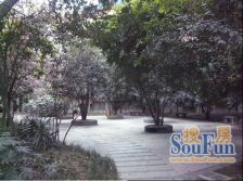 猛追湾东街6号 1室1厅 东南