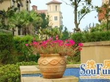 北部新区 龙湖水晶星座一房