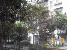 两路空港 金色阳光(渝北)一房18.5万