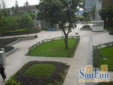 回兴 蓝色星空狮子座二房52万