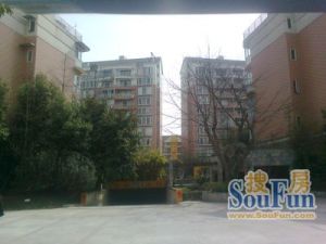 龙府花园3室2厅南