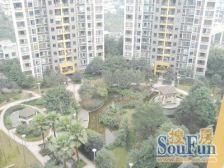 鲁能星城七街区 精装修 三房