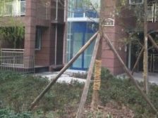 缙云山下精装电梯4房带外阳台急售