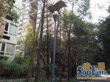 楼层好,格局好,采光好,视野好