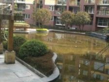 金鼎龙泉 精装修 电梯房 三室 出售