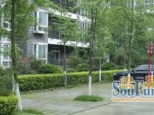 杜鹃城千万间 3室1厅 南