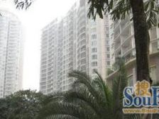 五里店 银座花苑四房135万