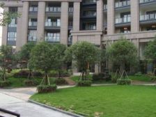 清水顶跃+客厅挑空+带空中花园+视野无遮挡