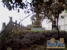 渝北西区 刚需两房 户型优质