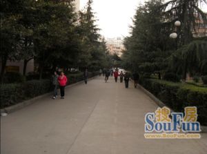 星光小区3室1厅东南