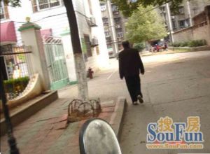 叠山路墩子塘采光太阳好户型端正出入好
