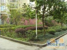 地铁口精装单配 配套成熟 生活方便 带地暖ZY空调