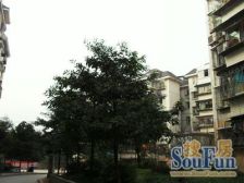 新石坑小区 3室 1厅 78平米