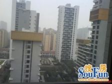 九鼎名都 2室1厅 南