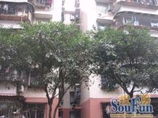 鸳鸯 花朝小区二房46万