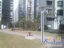 鲁能星城七街区 精装修三房两卫 随时看