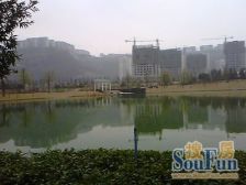 西区 金色池塘四房