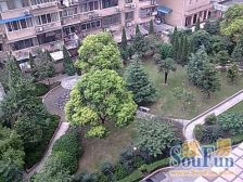 安家内环 边套 全明 小两房 单价总价都很低