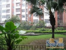 正南向,顶层复式实用面积高达230方