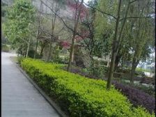 此房是个正规四室两卫,交通出行方便,生活配套齐