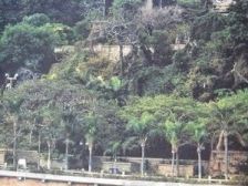 此房满五唯Y,户型好,面积小。。适合居住。压力小