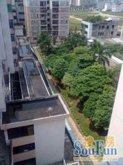 佳华大厦(容桂)3室2厅西北