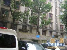 欣阳广场旁 友谊村 精装三室 户型方正 产权清晰 急售