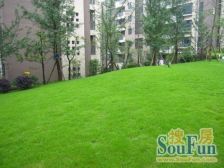 重庆东站 同景公园旁 洋房顶跃 视野开阔 近轻轨