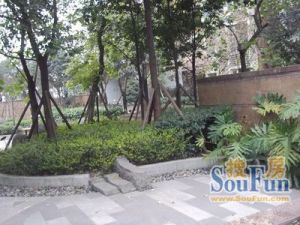 新园社区1室1厅东南