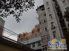 桃苑百树 外语 单位房楼层好老少皆宜