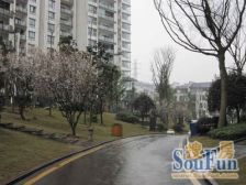 新牌坊无改动大三房带入户花园 住家精装修