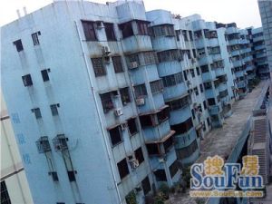 东园新村3房2厅1卫136㎡
