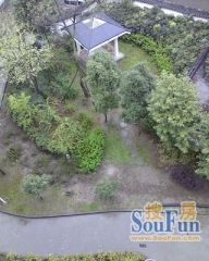 繁华时代 2室1厅 南