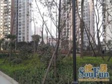 南桥寺 聚慧雅苑三房139万