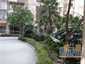 都会路苑2室1厅西