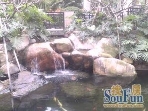 金东环大厦电梯两房朝东楼龄新