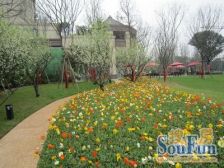 全屋地暖中央空调实木家具,前后大花园