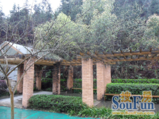 独栋别墅 花园可塑性很强 诚意出售