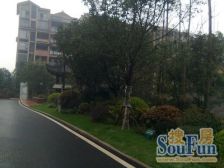 依林顶跃,背靠南山,环境优美出行便利