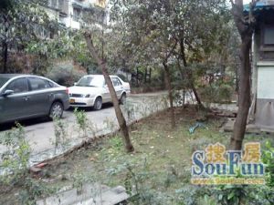 金沙路73号2室1厅西南