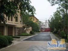 上邦高尔夫静静的墅,联排端头大户型大花园!