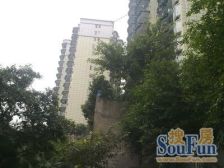 本房位于杨家坪燃气公司旁,出现方便,生活配套齐全