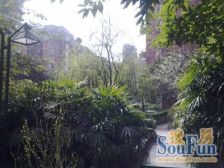 石桥铺 南方新城西苑二房62万