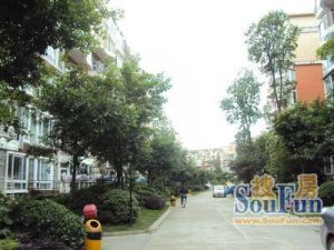 国一剑桥丽景3室1厅东西
