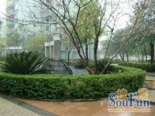 双龙大道 3室2厅 东 西