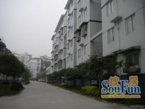 东福苑A区3室2厅东南