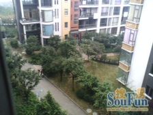 金色阳光(渝北) 1室1厅 东南