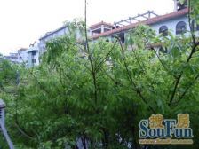 莲花路4室2厅南