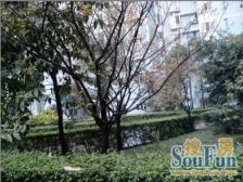 聚英花园 3室2厅 东南