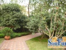 轻轨旁的联排别墅中户 小区配套成熟 视野好